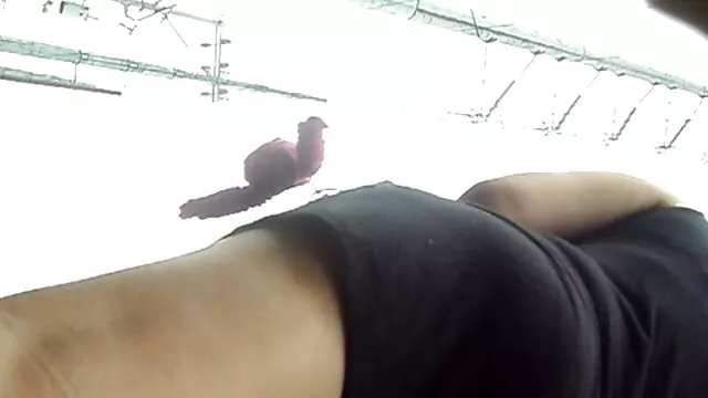A meter-me vídeos nacionais pornô com o meu amante carnudo