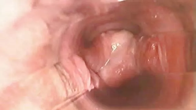 Stroker com piça curta masturba quais os melhores videos porno piça para ti